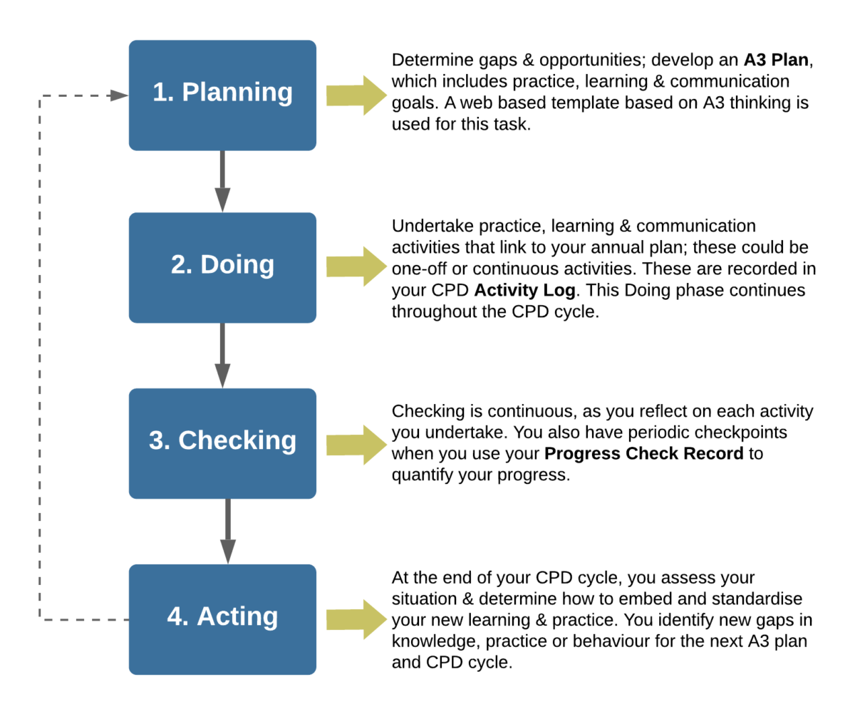 PDCA stages